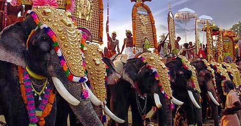 Adoor Gajamela 2025