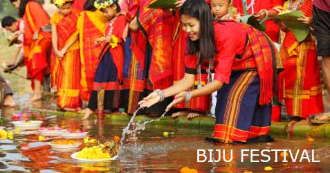 Biju Festival 2024