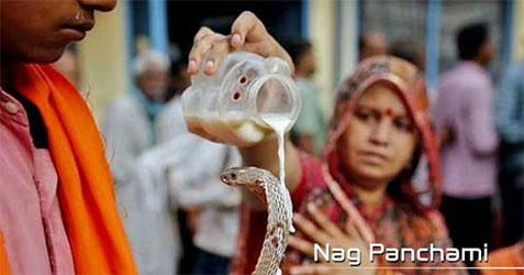 Nag Panchami 2024