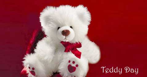 Teddy Day