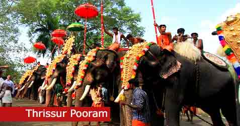 Thrissur Pooram 2024